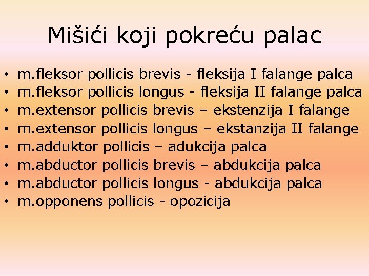 Mišići koji pokreću palac • • m. fleksor pollicis brevis - fleksija I falange Mišići koji pokreću palac • • m. fleksor pollicis brevis - fleksija I falange