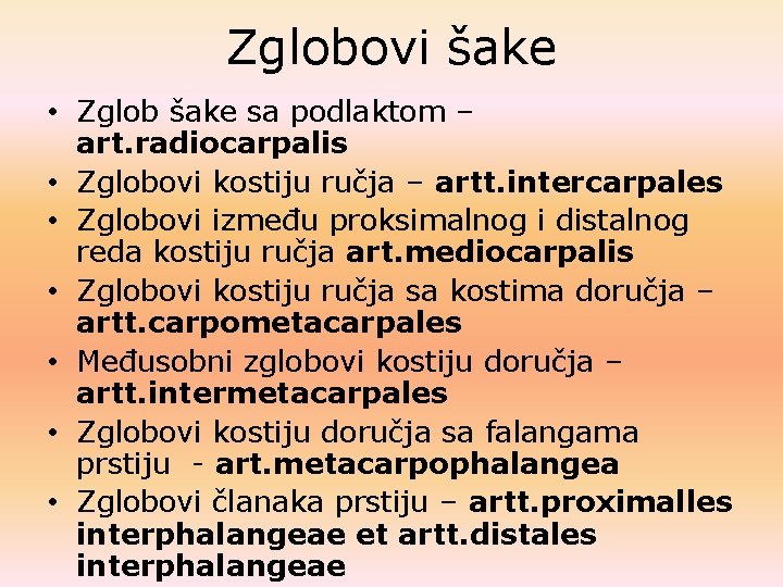 Zglobovi šake • Zglob šake sa podlaktom – art. radiocarpalis • Zglobovi kostiju ručja Zglobovi šake • Zglob šake sa podlaktom – art. radiocarpalis • Zglobovi kostiju ručja