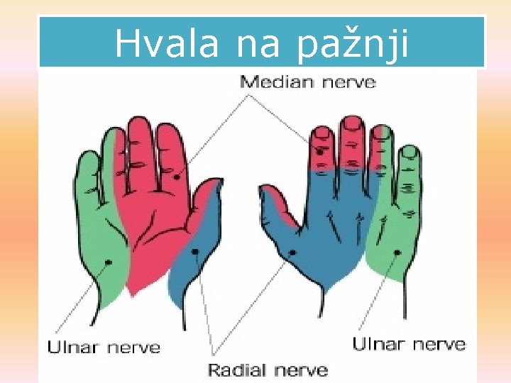 Hvala na pažnji Hvala na pažnji