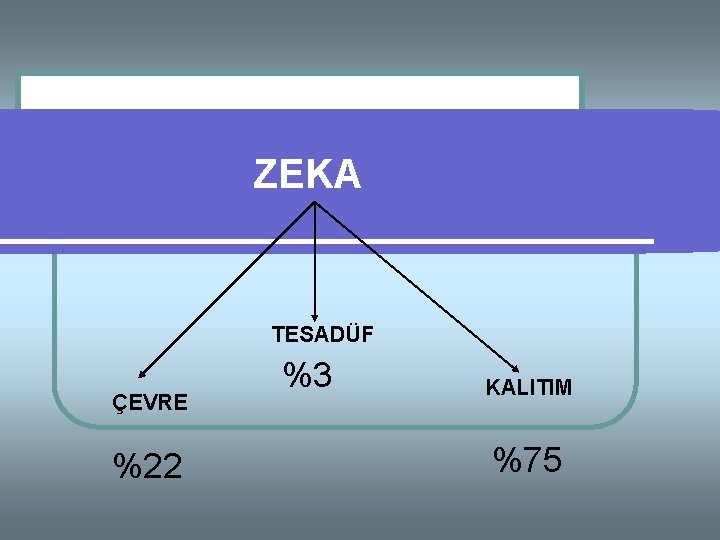 ZEKA TESADÜF ÇEVRE %22 %3 KALITIM %75 