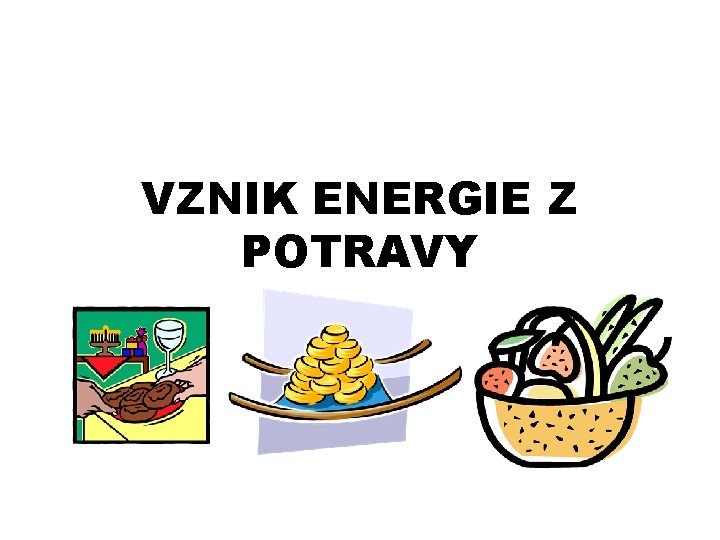 VZNIK ENERGIE Z POTRAVY 