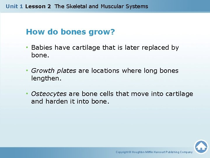 Unit 1 Lesson 2 The Skeletal and Muscular Systems How do bones grow? •