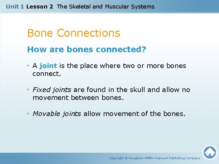 Unit 1 Lesson 2 The Skeletal and Muscular Systems Bone Connections How are bones