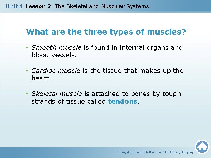 Unit 1 Lesson 2 The Skeletal and Muscular Systems What are three types of