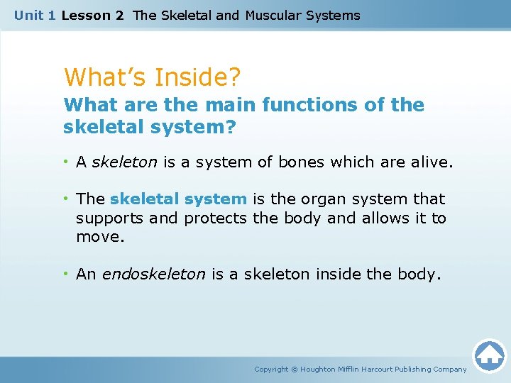 Unit 1 Lesson 2 The Skeletal and Muscular Systems What’s Inside? What are the