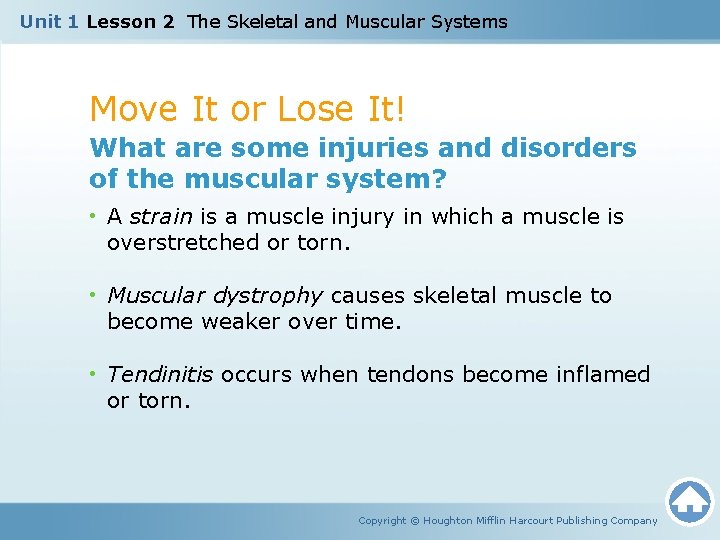 Unit 1 Lesson 2 The Skeletal and Muscular Systems Move It or Lose It!