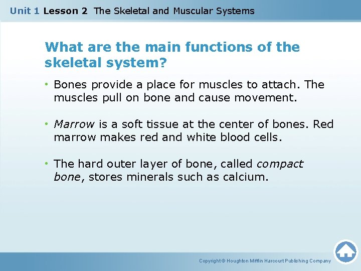 Unit 1 Lesson 2 The Skeletal and Muscular Systems What are the main functions