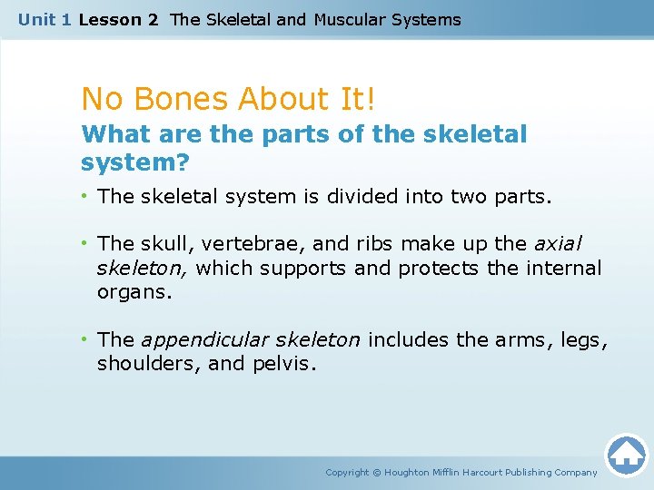 Unit 1 Lesson 2 The Skeletal and Muscular Systems No Bones About It! What
