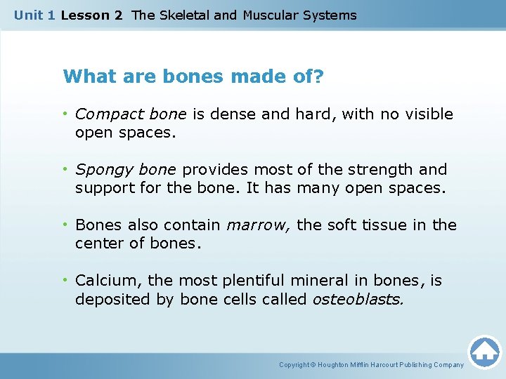 Unit 1 Lesson 2 The Skeletal and Muscular Systems What are bones made of?