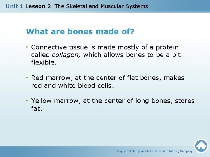 Unit 1 Lesson 2 The Skeletal and Muscular Systems What are bones made of?