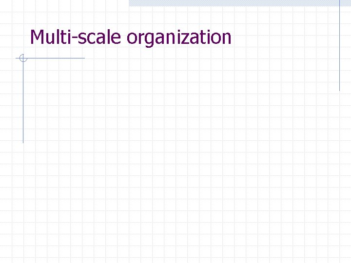 Multi-scale organization 