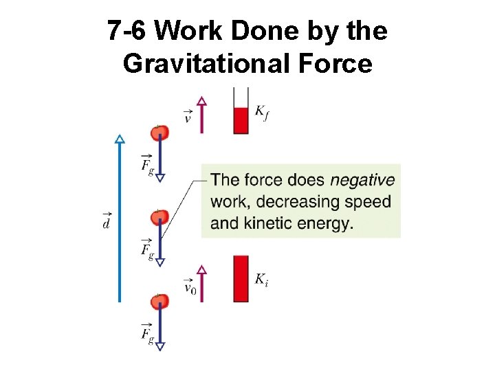 7 -6 Work Done by the Gravitational Force 