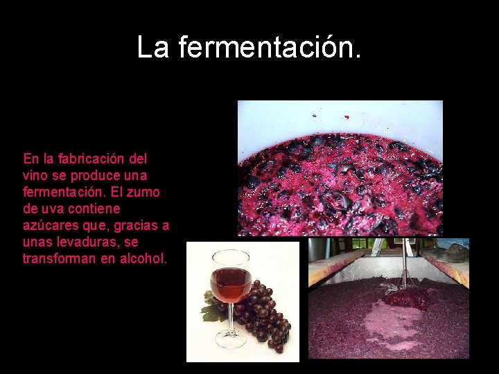 La fermentación. En la fabricación del vino se produce una fermentación. El zumo de