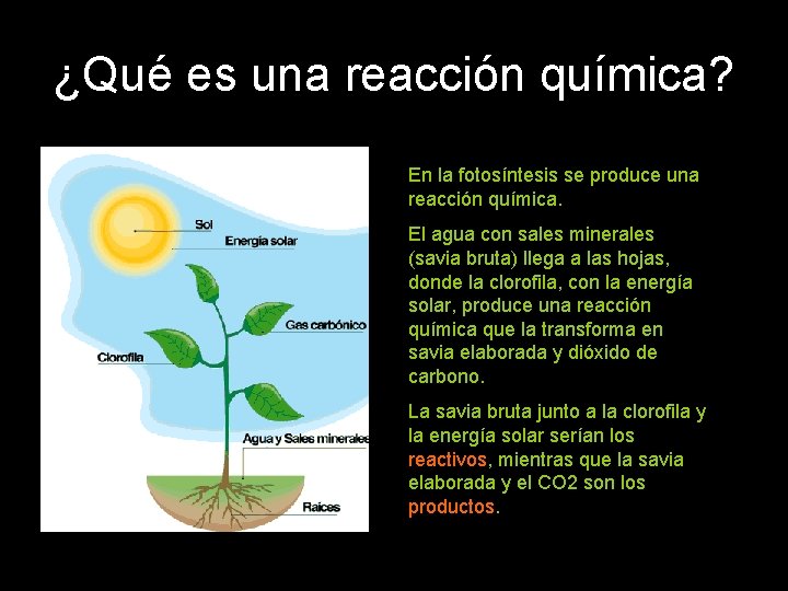 ¿Qué es una reacción química? En la fotosíntesis se produce una reacción química. El