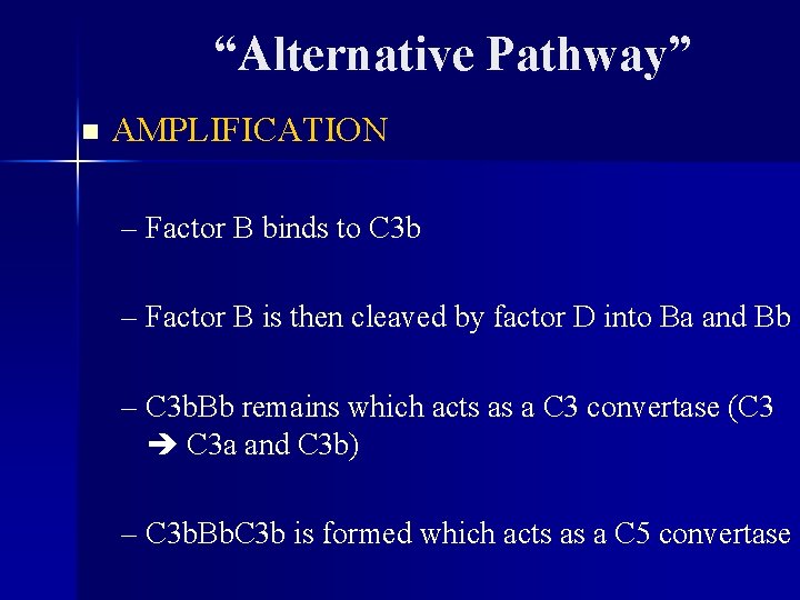 “Alternative Pathway” n AMPLIFICATION – Factor B binds to C 3 b – Factor