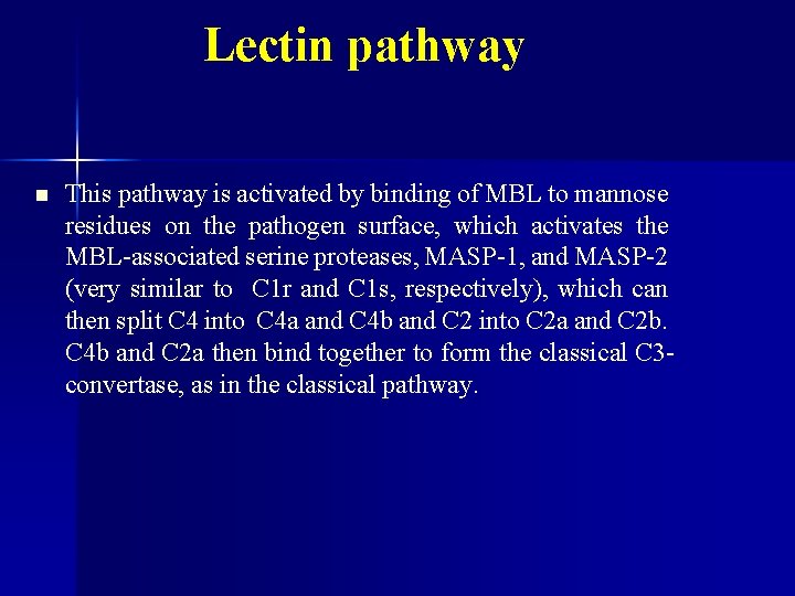 Lectin pathway n This pathway is activated by binding of MBL to mannose residues