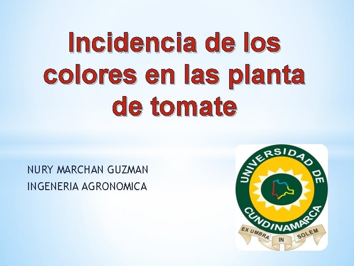 Incidencia de los colores en las planta de tomate NURY MARCHAN GUZMAN INGENERIA AGRONOMICA