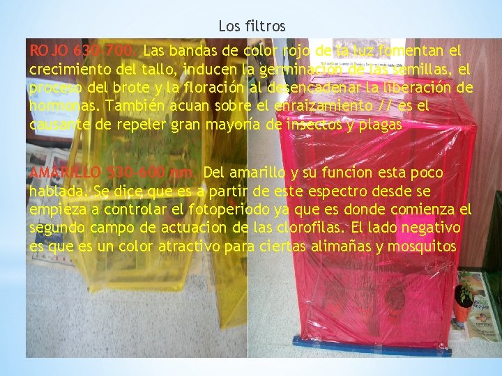 Los filtros ROJO 630 -700. Las bandas de color rojo de la luz fomentan