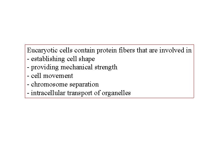 Eucaryotic cells contain protein fibers that are involved in - establishing cell shape -