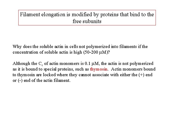 Filament elongation is modified by proteins that bind to the free subunits Why does