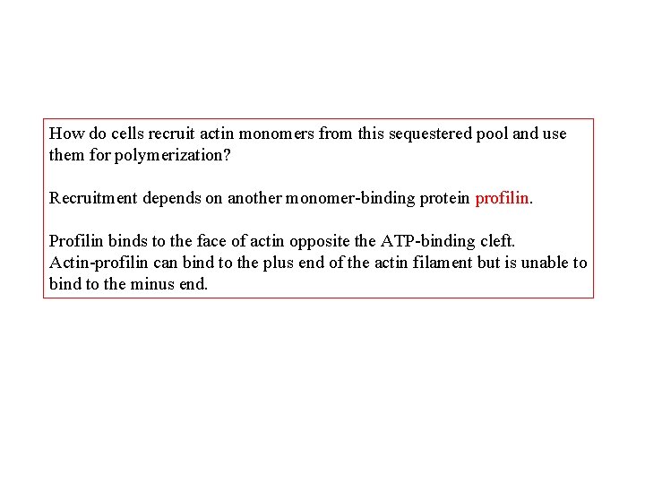 How do cells recruit actin monomers from this sequestered pool and use them for