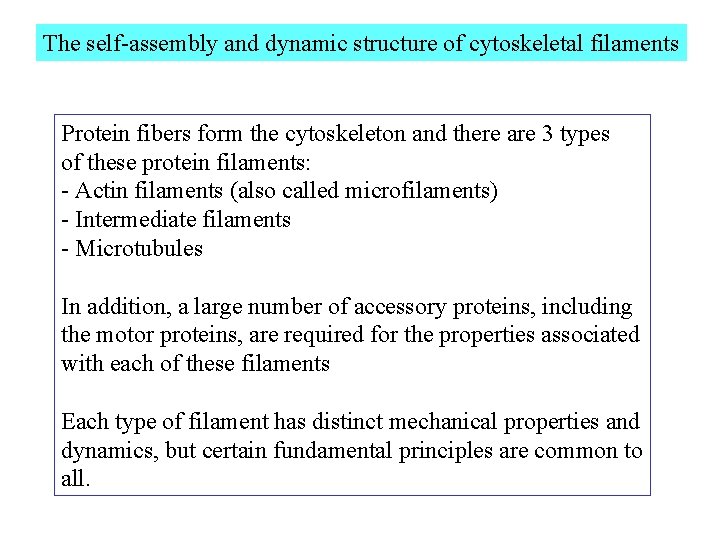 The self-assembly and dynamic structure of cytoskeletal filaments Protein fibers form the cytoskeleton and
