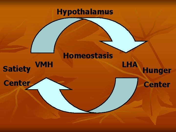 Hypothalamus Satiety Center VMH Homeostasis LHA Hunger Center Hypothalamus Satiety Center VMH Homeostasis LHA Hunger Center