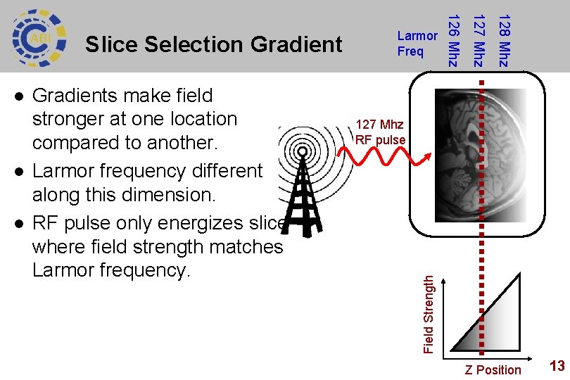 127 Mhz RF pulse Field Strength l 128 Mhz l Gradients make field stronger