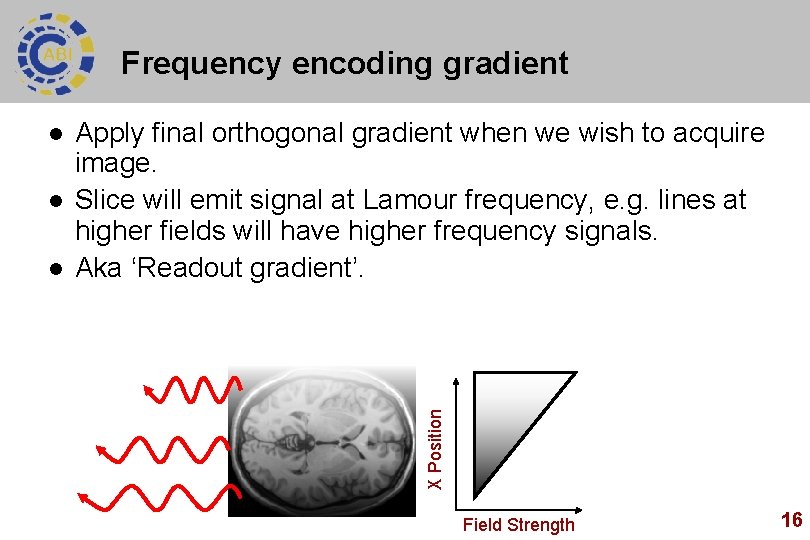 Frequency encoding gradient l l Apply final orthogonal gradient when we wish to acquire