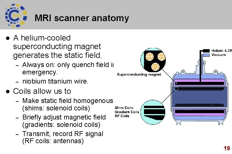 MRI scanner anatomy l A helium-cooled superconducting magnet generates the static field. – –