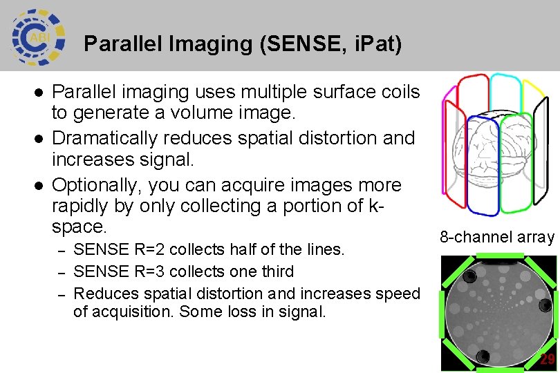 Parallel Imaging (SENSE, i. Pat) l l l Parallel imaging uses multiple surface coils