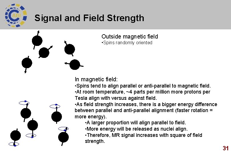 Signal and Field Strength Outside magnetic field • Spins randomly oriented In magnetic field: