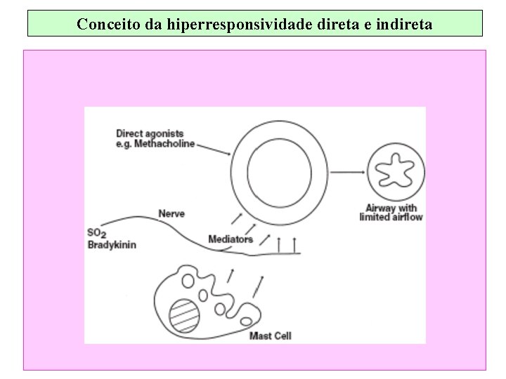 Conceito da hiperresponsividade direta e indireta 