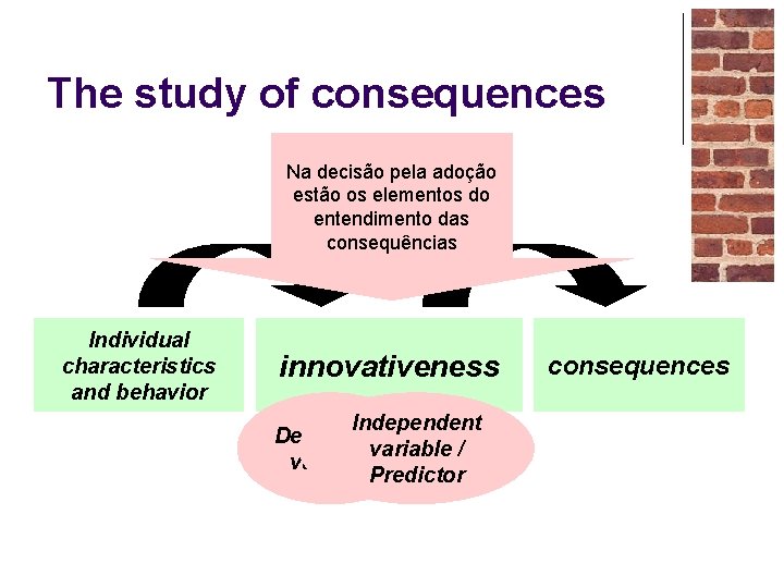 The study of consequences Na decisão pela adoção estão os elementos do entendimento das
