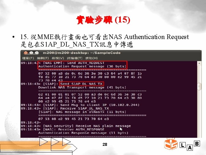 實驗步驟 (15) • 15. 從MME執行畫面也可看出NAS Authentication Request 是包在S 1 AP_DL_NAS_TX訊息中傳遞 28 L A B