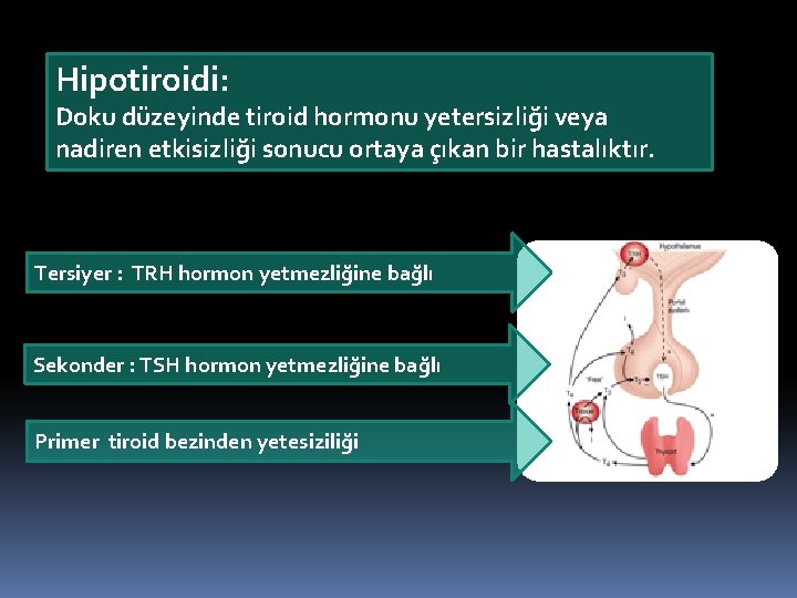 Hipotiroidi: Doku düzeyinde tiroid hormonu yetersizliği veya nadiren etkisizliği sonucu ortaya çıkan bir hastalıktır.