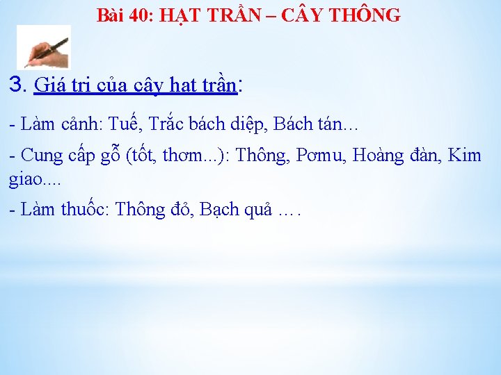 Bài 40: HẠT TRẦN – C Y THÔNG 3. Giá trị của cây hạt