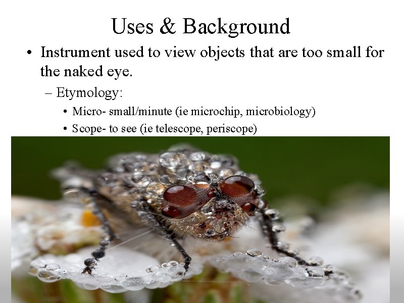 Uses & Background • Instrument used to view objects that are too small for