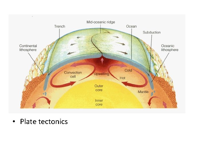  • Plate tectonics 