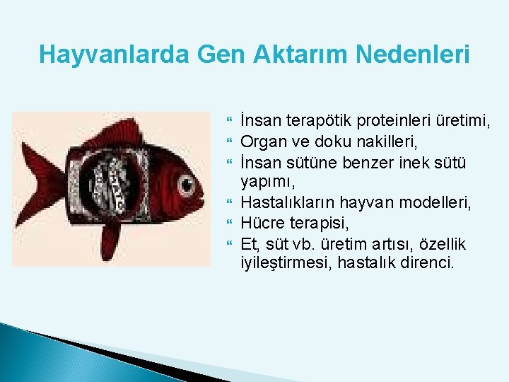 Hayvanlarda Gen Aktarım Nedenleri İnsan terapötik proteinleri üretimi, Organ ve doku nakilleri, İnsan sütüne