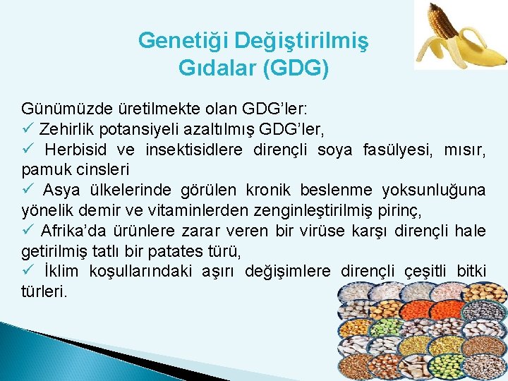 Genetiği Değiştirilmiş Gıdalar (GDG) Günümüzde üretilmekte olan GDG’ler: ü Zehirlik potansiyeli azaltılmış GDG’ler, ü