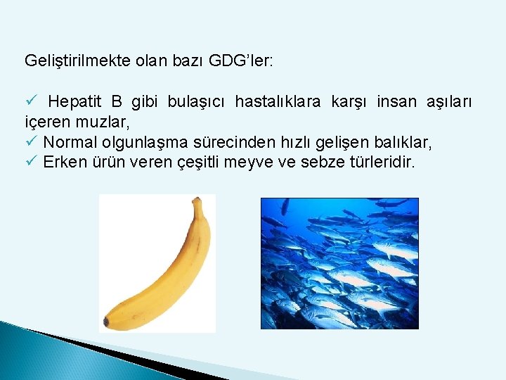 Geliştirilmekte olan bazı GDG’ler: ü Hepatit B gibi bulaşıcı hastalıklara karşı insan aşıları içeren