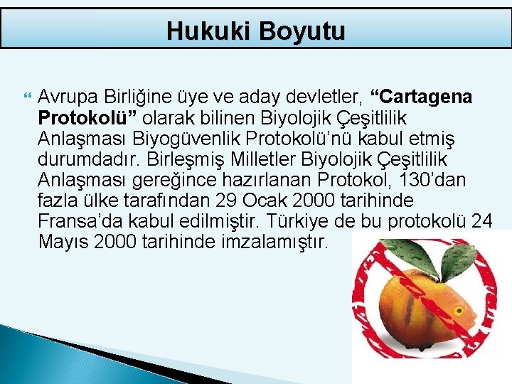 Hukuki Boyutu Avrupa Birliğine üye ve aday devletler, “Cartagena Protokolü” olarak bilinen Biyolojik Çeşitlilik