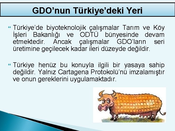GDO’nun Türkiye’deki Yeri Türkiye’de biyoteknolojik çalışmalar Tarım ve Köy İşleri Bakanlığı ve ODTÜ bünyesinde