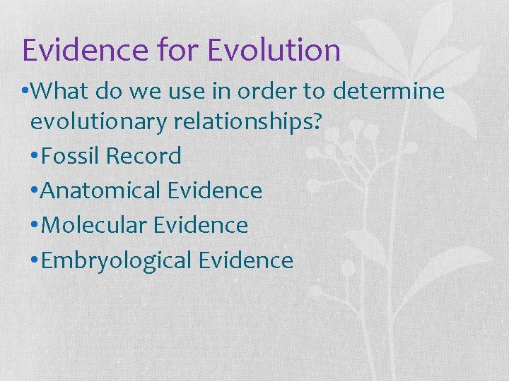 Evidence for Evolution • What do we use in order to determine evolutionary relationships?