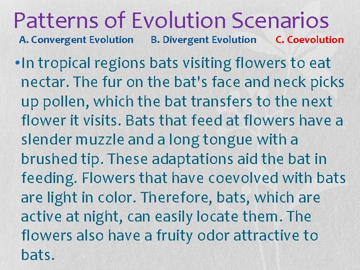 Patterns of Evolution Scenarios A. Convergent Evolution B. Divergent Evolution C. Coevolution • In