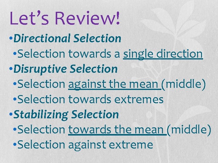 Let’s Review! • Directional Selection • Selection towards a single direction • Disruptive Selection