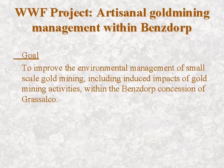 WWF Project: Artisanal goldmining management within Benzdorp Goal To improve the environmental management of