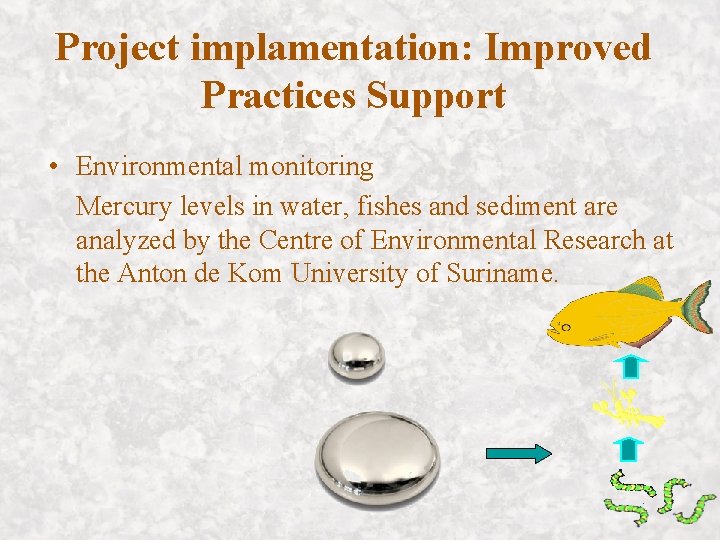 Project implamentation: Improved Practices Support • Environmental monitoring Mercury levels in water, fishes and