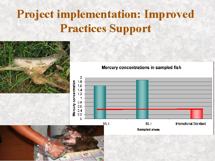 Project implementation: Improved Practices Support 